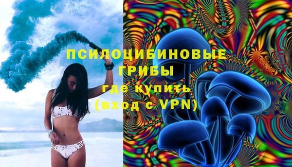 PSILOCYBIN Вязьма